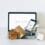 Extend Your E-commerce Business to Europe: How J&P Makes Compliance Simple