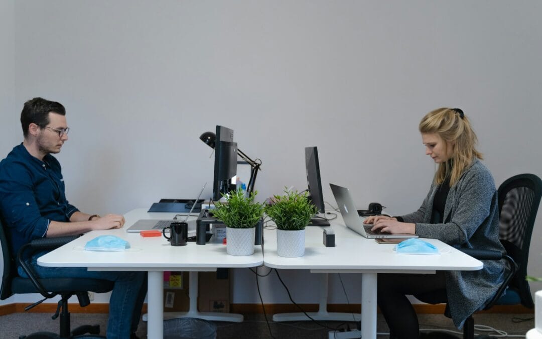 Amazon FBA VAT Services: In-House vs Chartered Accountants