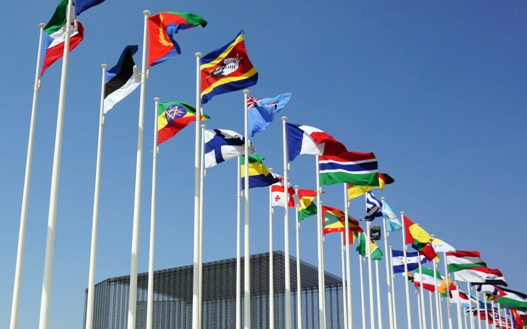 Full-Service VAT and Accounting Compliance Solutions for International Sellers