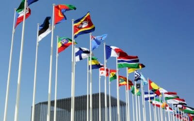 Full-Service VAT and Accounting Compliance Solutions for International Sellers